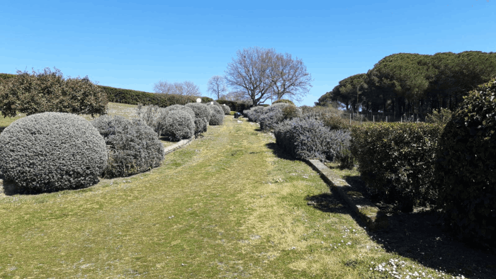 Giardiniere Roma Nord Formello